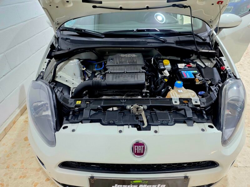 FIAT Punto 1.2 pop young