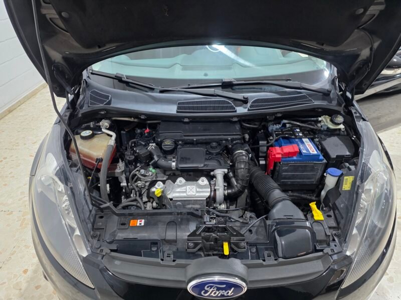 FORD Fiesta 1.4 tdci trend