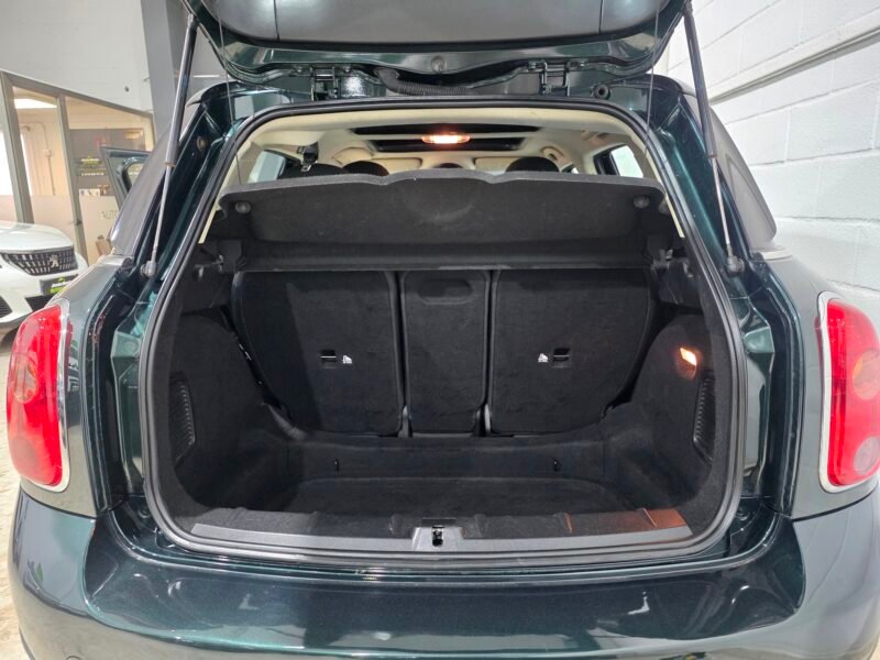 MINI COUNTRYMAN One D