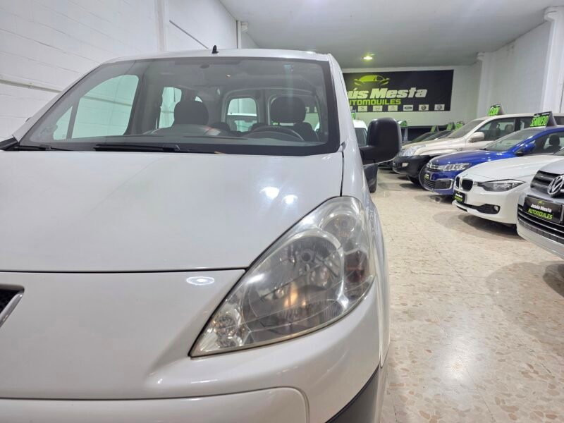 PEUGEOT Parnert 1.6 hdi